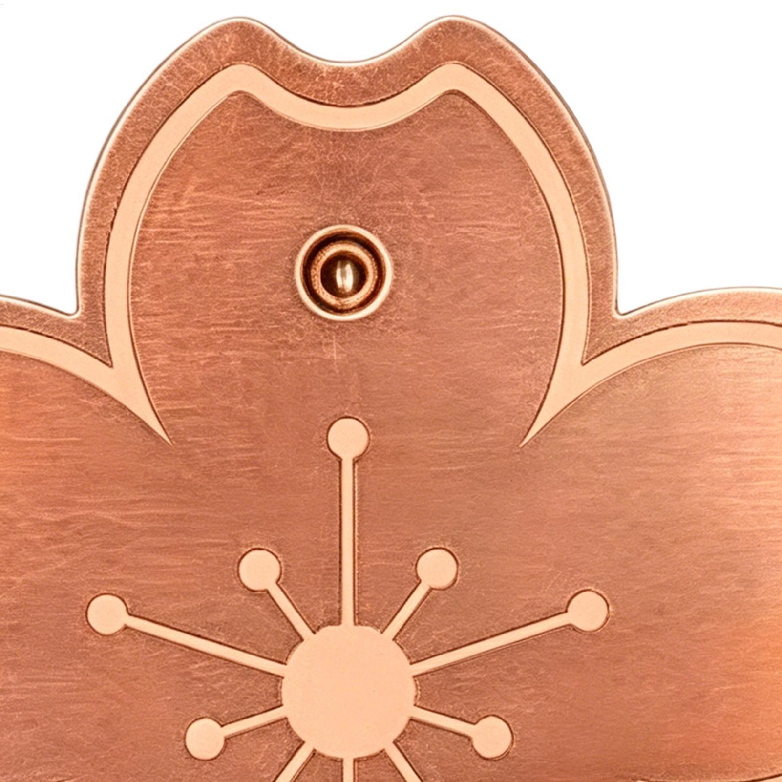 Placa de cobre purificadora se - Watches Original reseña y precio